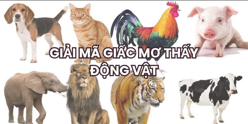 Giải mã giấc mơ thấy động vật